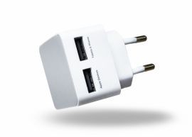 Azuri Home Charger 2x USB 2A biały w Komputronik