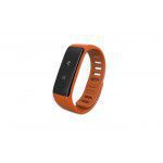 ZEFIT ORANGE w NEO24.PL