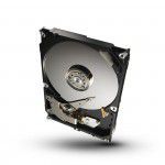 1TB ST1000VM002 w NEO24.PL