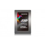 256GB ASP920SS3-256GM-C