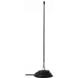 Antena PRESIDENT Florida Export