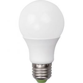 Żarówka LED DMP 10W E27