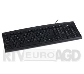 Tracer MAVERICK BLACK USB w RTV EURO AGD