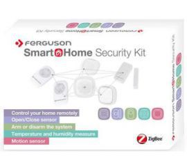 Ferguson SmartHome Security Kit
