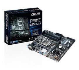 ASUS Prime B250M-A w RTV EURO AGD