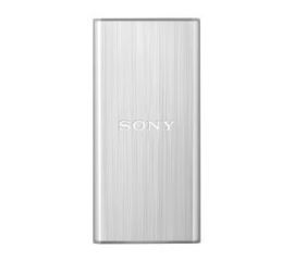 Sony SL-BG1S 128GB USB 3.0 (srebrny)