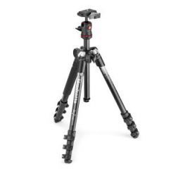 Manfrotto Befree MKBFRA4GY-BH (szary) w RTV EURO AGD