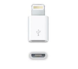 Winner WG 5664 Adapter Micro USB - Lighting w RTV EURO AGD