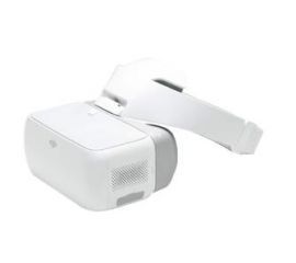 DJI Goggles