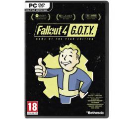 Fallout 4 - Edycja Gry Roku