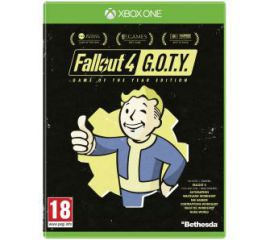 Fallout 4 - Edycja Gry Roku