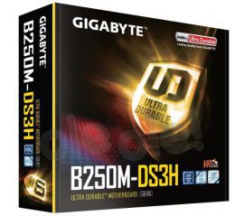 Gigabyte GA-B250M-DS3H