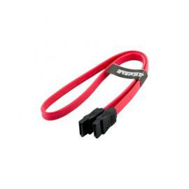4world Kabel HDD | SATA 3 | ATA-Serial ATA | 45cm czerwony w Alsen