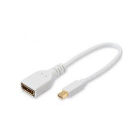 EDNET Kabel adapter Displayport 1.1a Typ miniDP/DP M/Ż biały 0,15m w Alsen