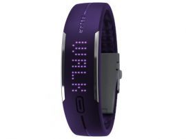 POLAR Loop Purple